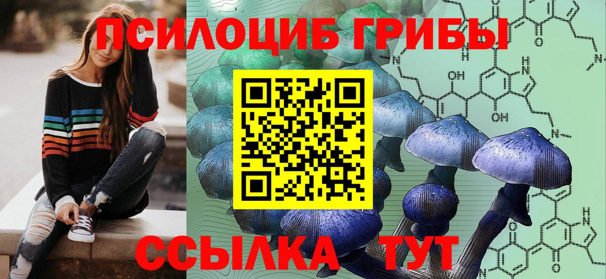 Псилоцибиновые грибы Cubensis  Вход с VPN  Лысьва 