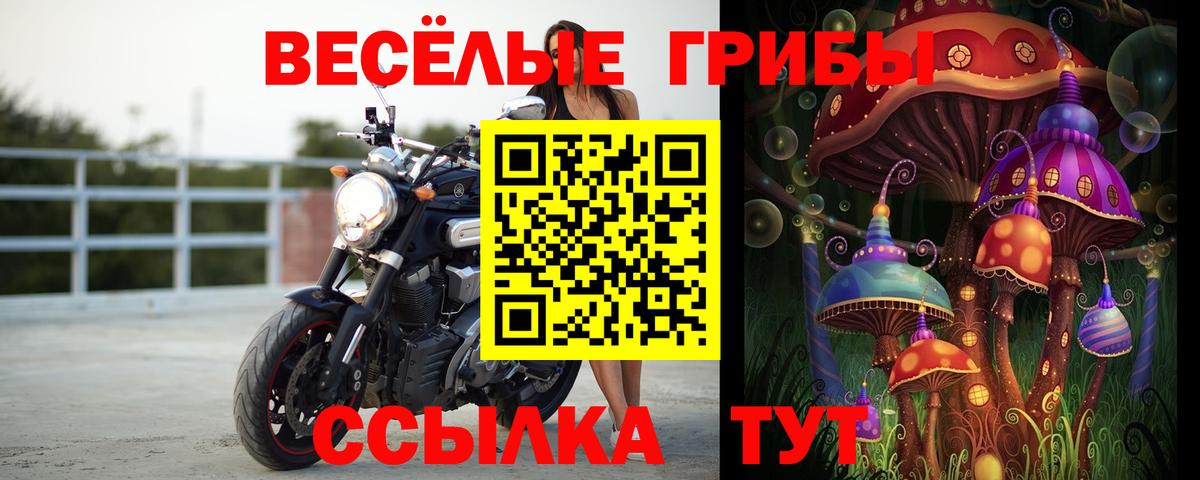 Галлюциногенные грибы Magic Shrooms Лысьва
